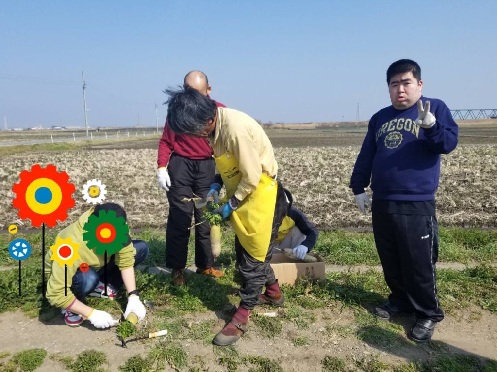 野菜収穫 2018/3/26