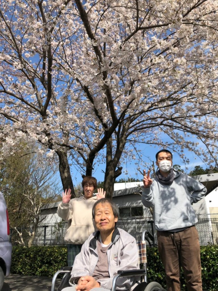 お花見🌸 2019/4/2〜4/5